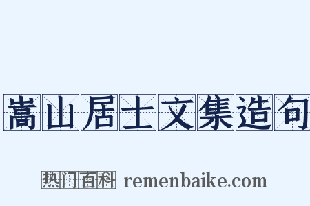 嵩山居士文集造句是什么意思的图片